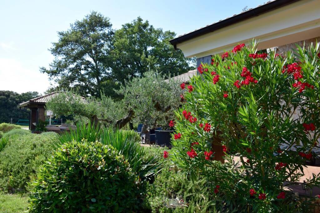 Villa Birds House Rovinj Bagian luar foto
