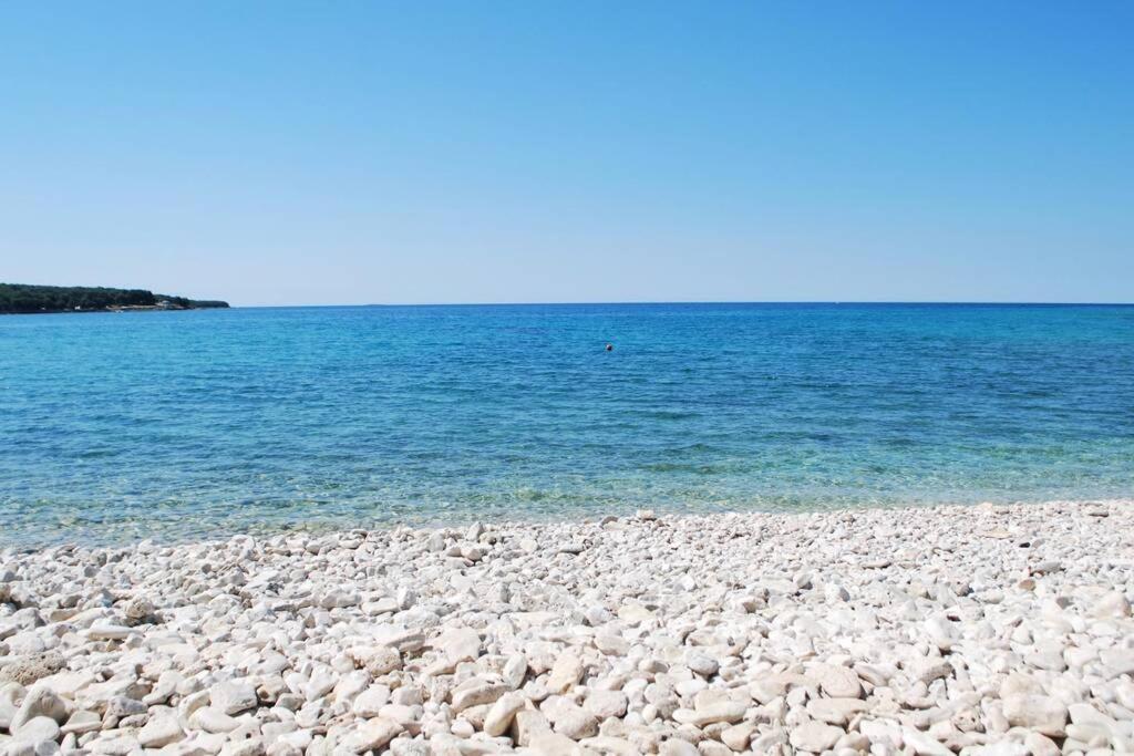 Villa Birds House Rovinj Bagian luar foto