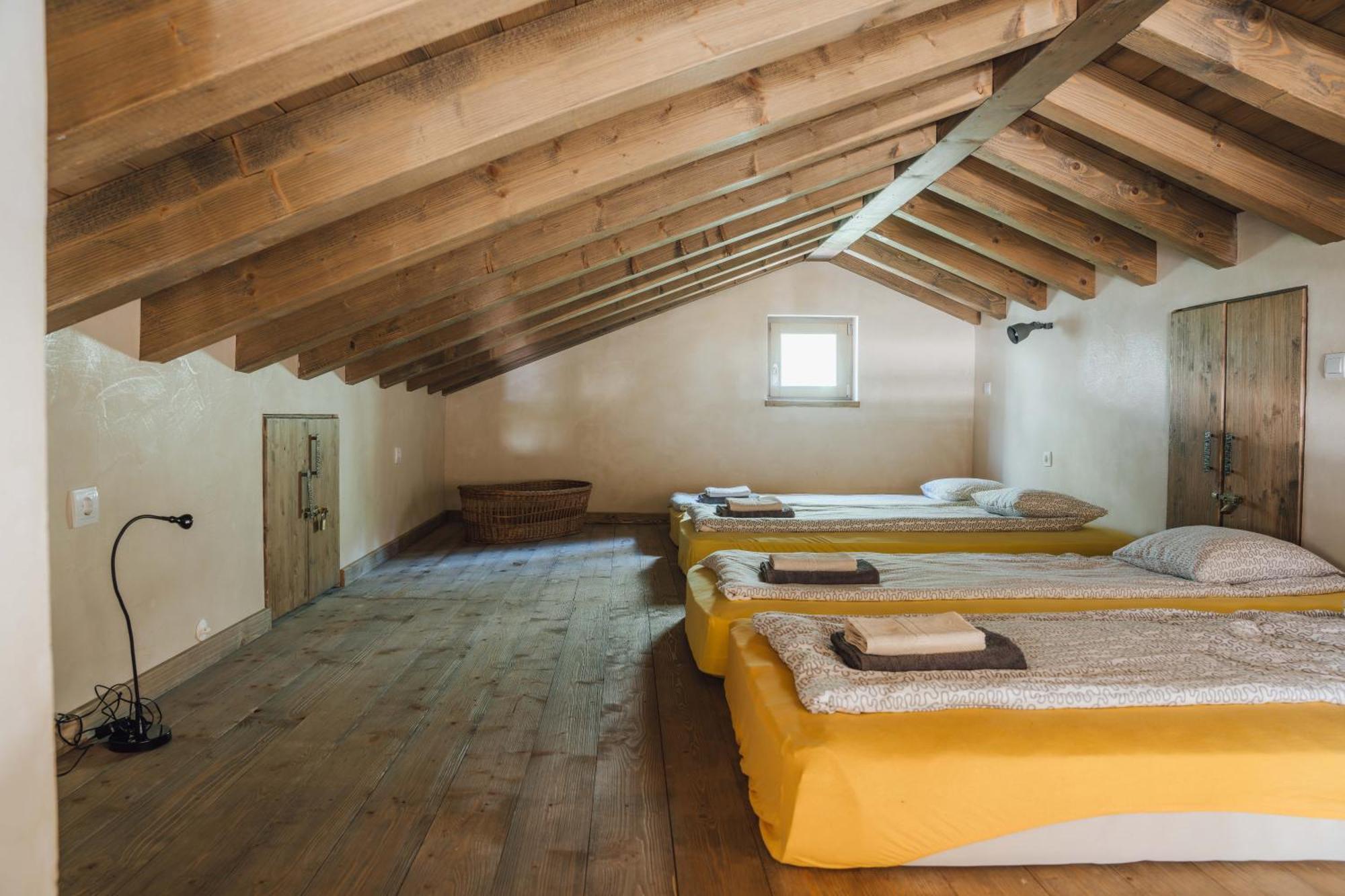 Villa Birds House Rovinj Bagian luar foto